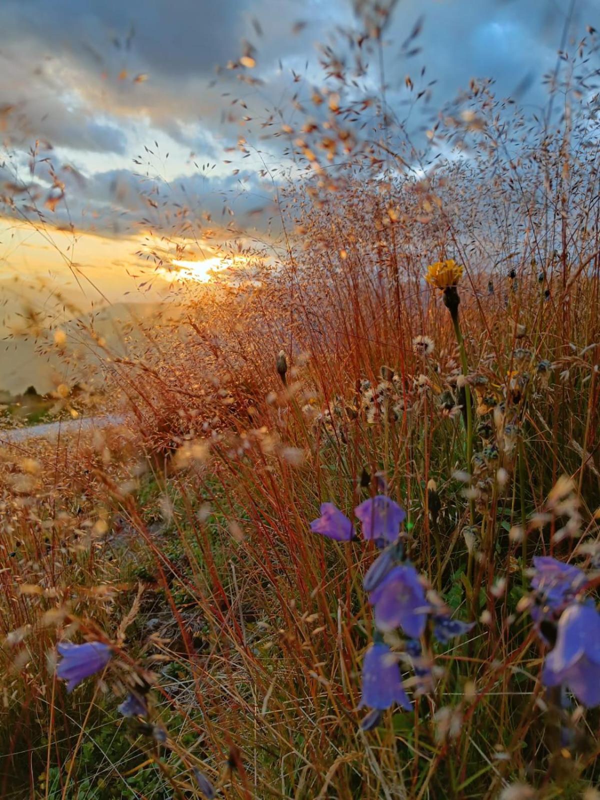 Appartamenti Sonnenuhr Sexten Bagian luar foto